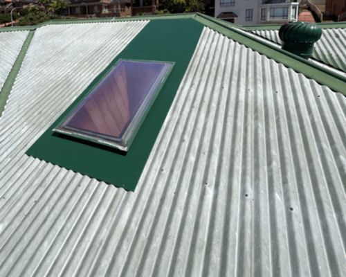 Roof painting and restoration Hills District
